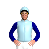 Jockey Silk