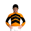 Jockey Silk