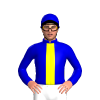Jockey Silk
