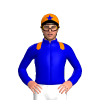 Jockey Silk