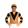 Jockey Silk