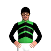 Jockey Silk