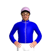 Jockey Silk