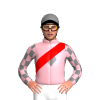 Jockey Silk