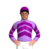 Jockey Silk