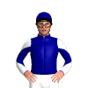 Jockey Silk