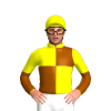 Jockey Silk