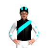 Jockey Silk