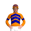 Jockey Silk