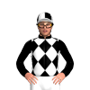 Jockey Silk