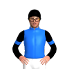 Jockey Silk