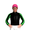 Jockey Silk