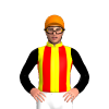 Jockey Silk