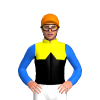 Jockey Silk