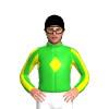 Jockey Silk