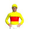 Jockey Silk