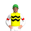 Jockey Silk