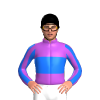 Jockey Silk