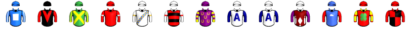 Runner silk