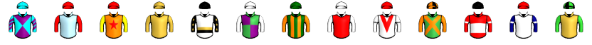Runner silk