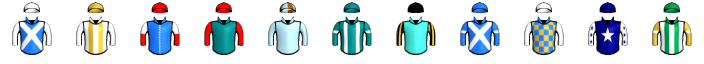 Runner silk