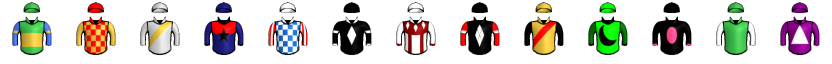 Runner silk