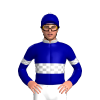 Jockey Silk