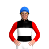 Jockey Silk