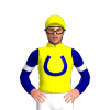 Jockey Silk