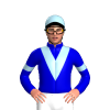 Jockey Silk