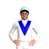 Jockey Silk