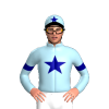 Jockey Silk