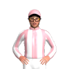 Jockey Silk