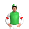 Jockey Silk