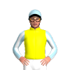 Jockey Silk
