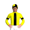 Jockey Silk