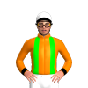 Jockey Silk
