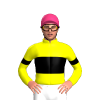 Jockey Silk