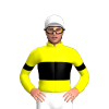 Jockey Silk