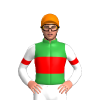 Jockey Silk