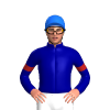 Jockey Silk