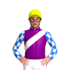 Jockey Silk