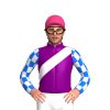 Jockey Silk