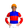 Jockey Silk