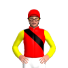 Jockey Silk