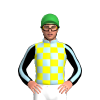 Jockey Silk