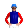 Jockey Silk