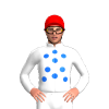 Jockey Silk