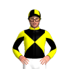 Jockey Silk