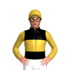 Jockey Silk
